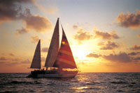 Sunset Cruise