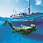 Snorkeling Tours in Mazatlan