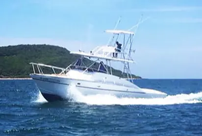 Mazatlan Yacht Whale Watching